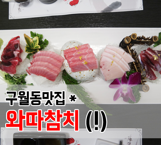 와따참치 이미지