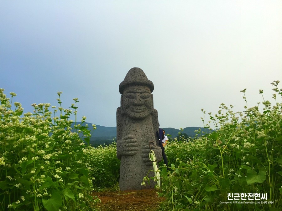 농업회사법인제주오라(유) 이미지
