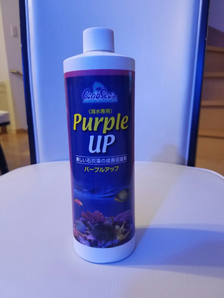 라이브락 이미지