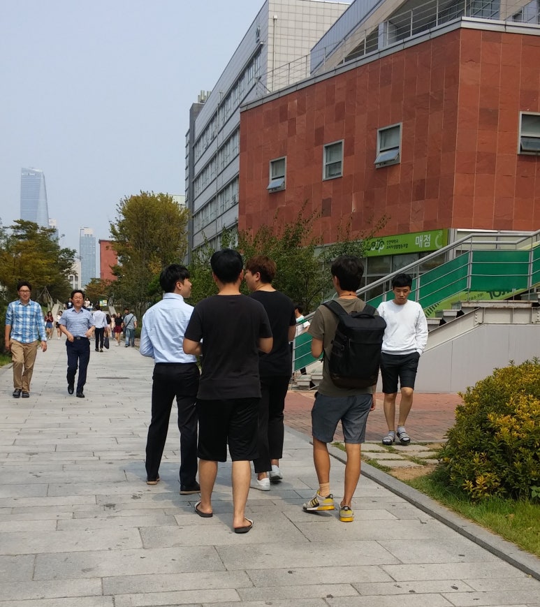 채우미 이미지