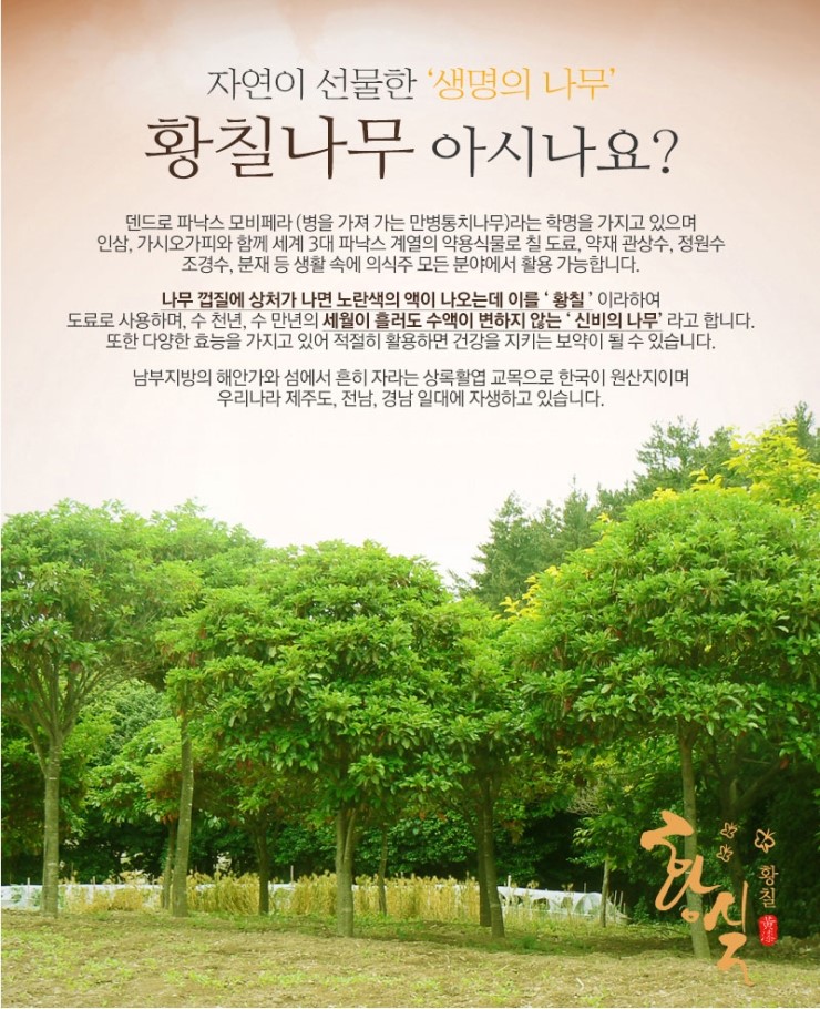 황실피부 이미지