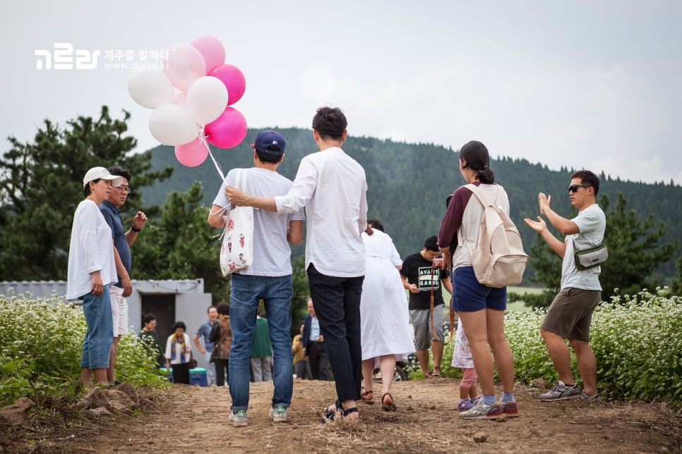농업회사법인제주오라(유) 이미지
