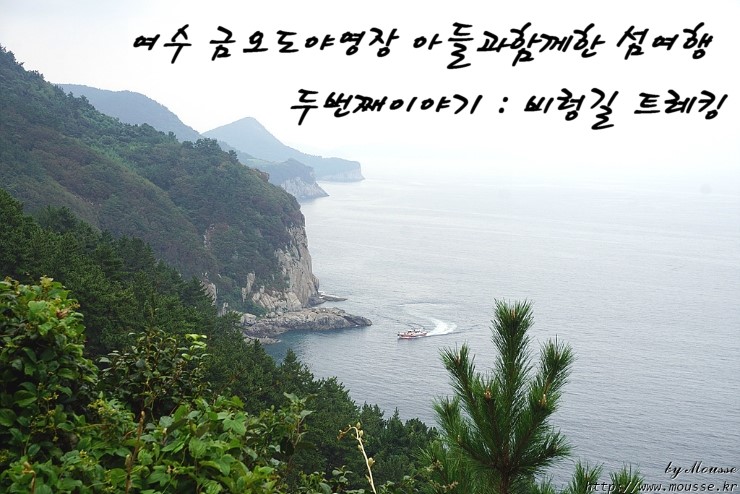 금오도 야영장 이미지