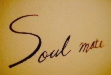 소울메이트(Soul Mate) 이미지
