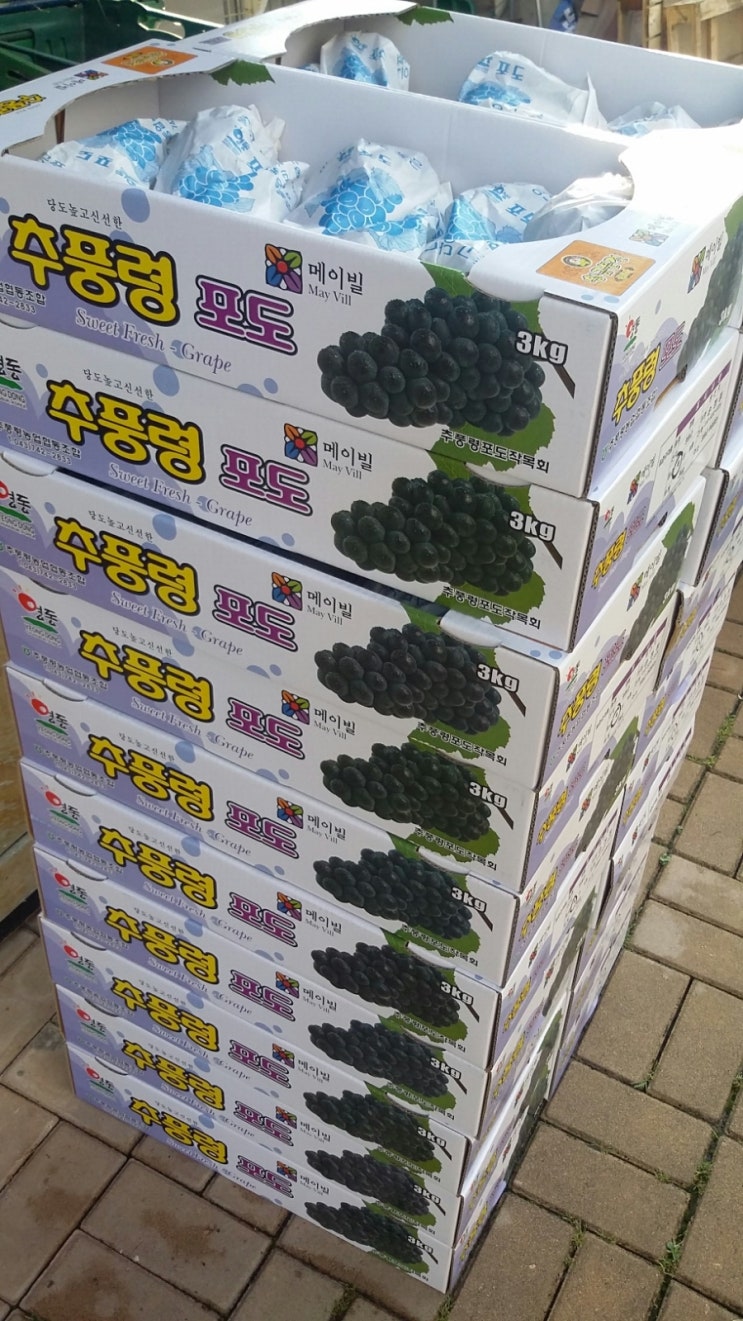통통과일 이미지