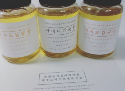 비틀에코 이미지