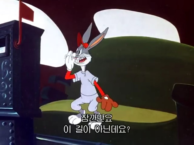 버니 이미지