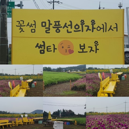 꽃썸 이미지