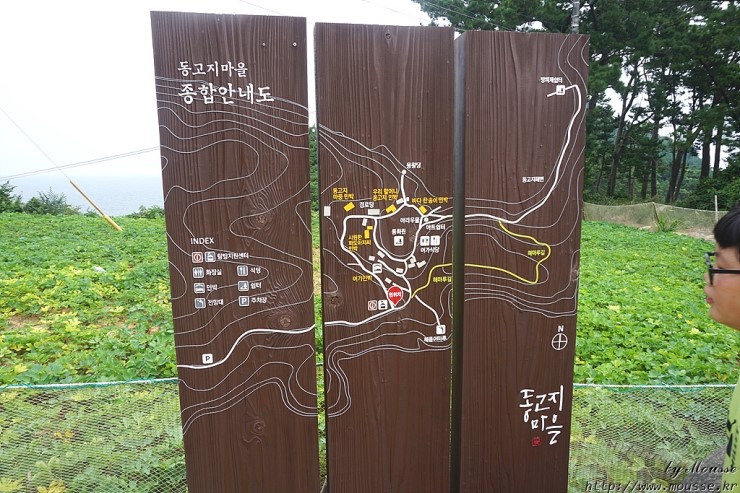 금오도 야영장 이미지