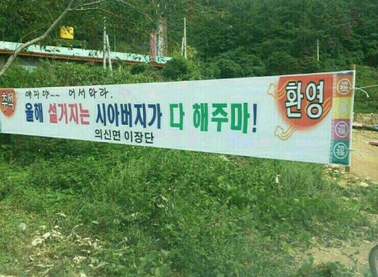 센스쟁이 이미지
