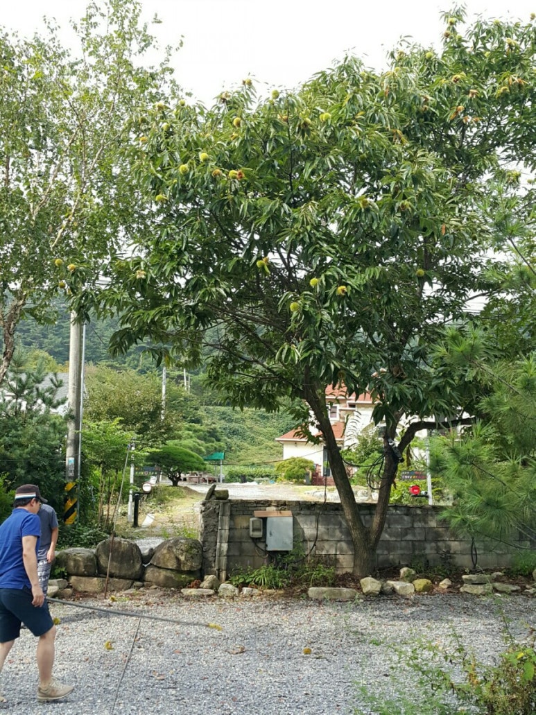 석천캠핑장 이미지