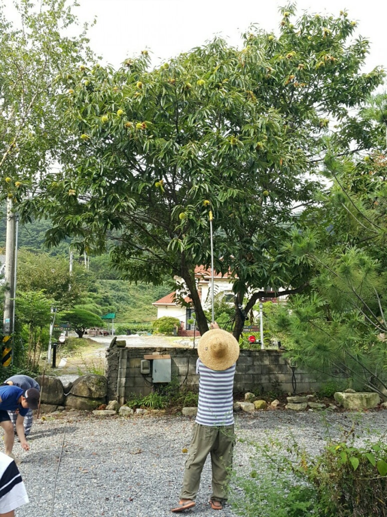석천캠핑장 이미지