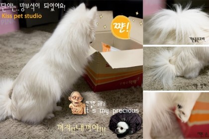 스튜디오키스 이미지