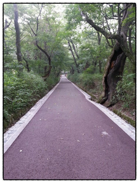 송림민박 이미지