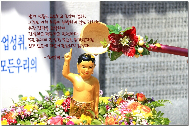 은빛여우 이미지