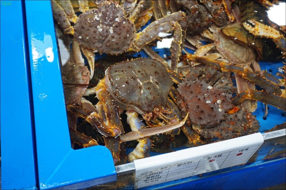 정희수산 이미지