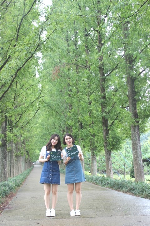 영산산림 이미지