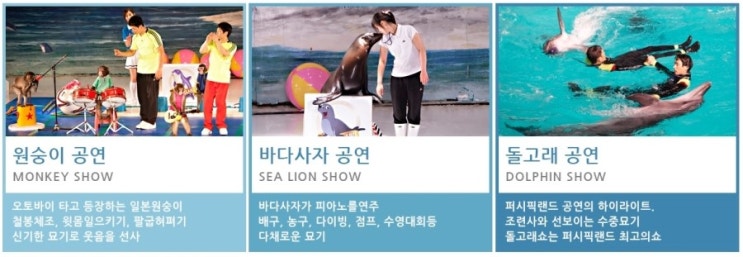 오름스카이 이미지