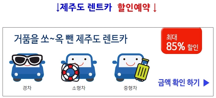 제주동동 이미지