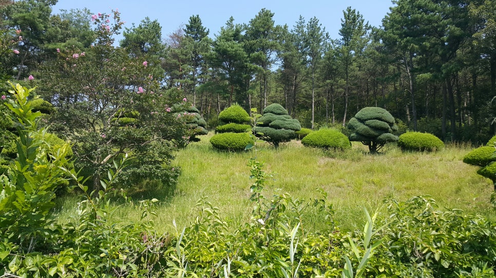 주식회사녹원 이미지