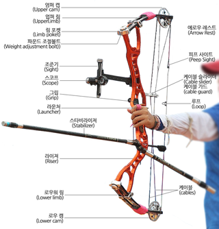 활의 종류와 명칭 (리커브, 컴파운드, 데이크다운 ...) : 네이버 블로그