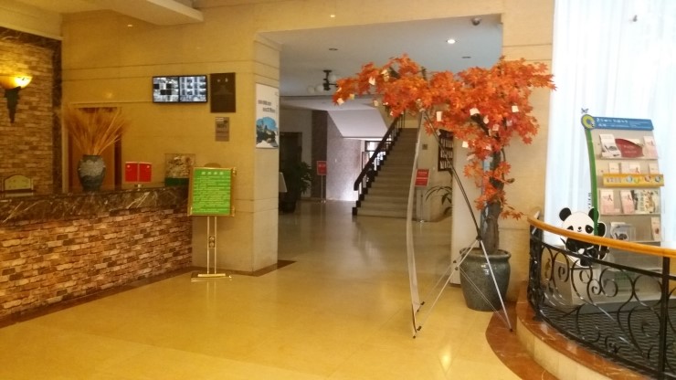 성도반점 이미지