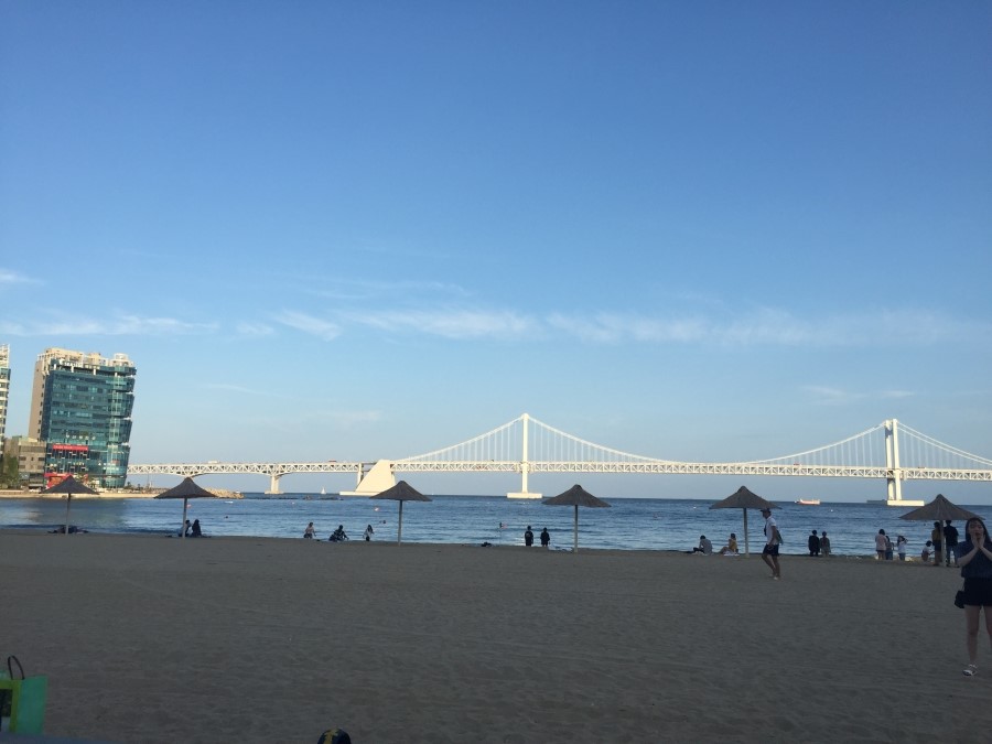 모히또바인오션 이미지