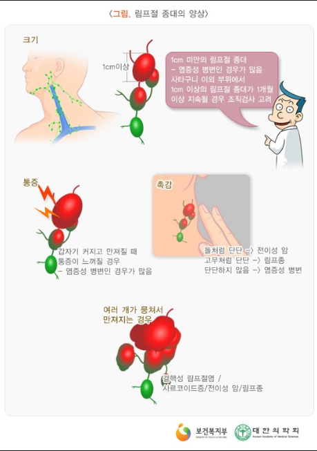 에코씨씨엠 이미지