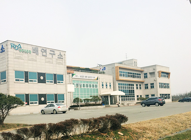 그린시스 이미지