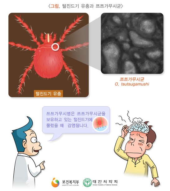 에코씨씨엠 이미지