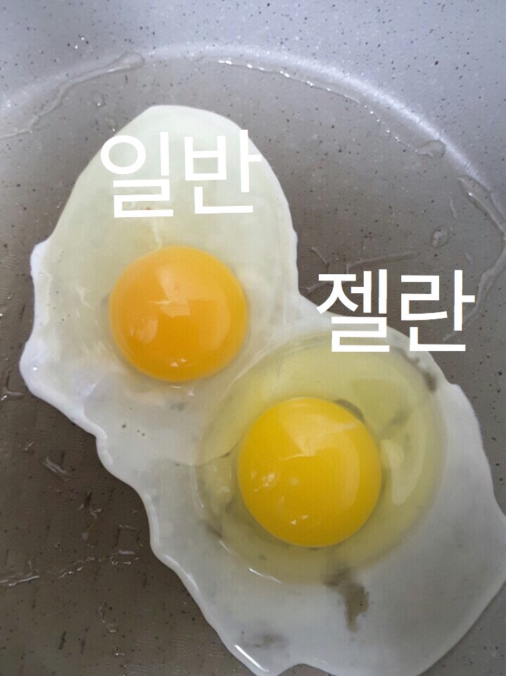 오경(젤란) 이미지