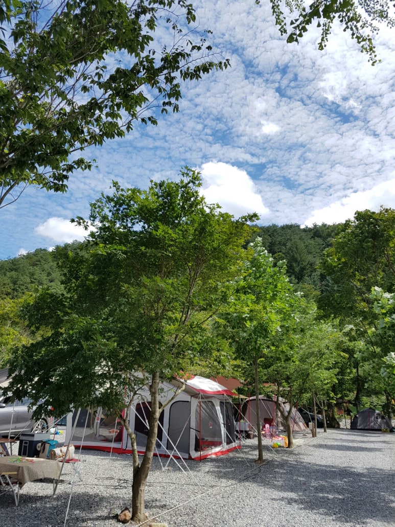 두산분교 캠핑장 이미지