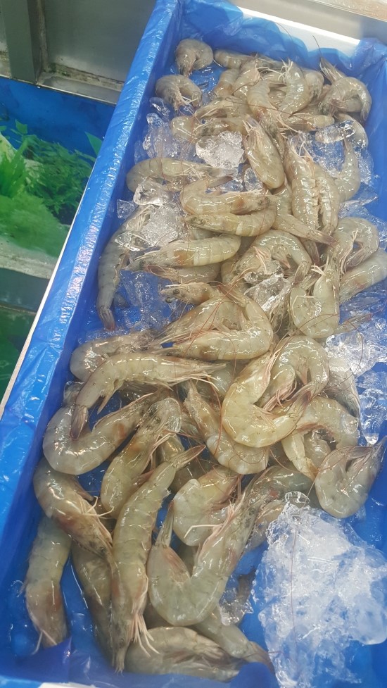 한국유통정육 이미지
