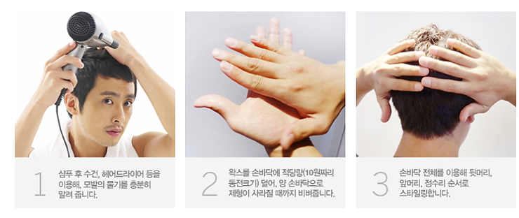 콩·붕 이미지