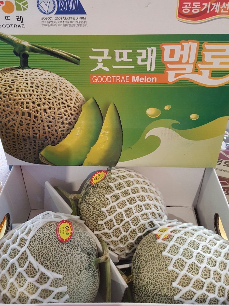 유림청과 이미지