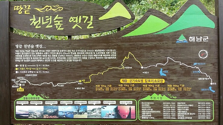 천년숲 이미지