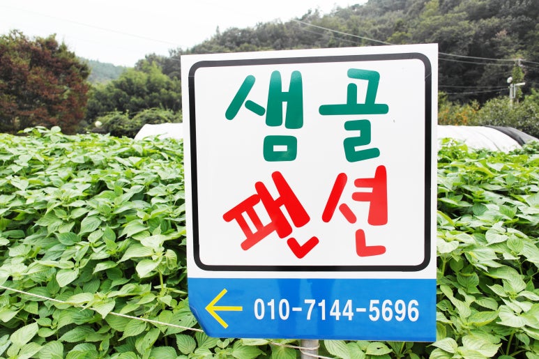 샘골펜션 이미지