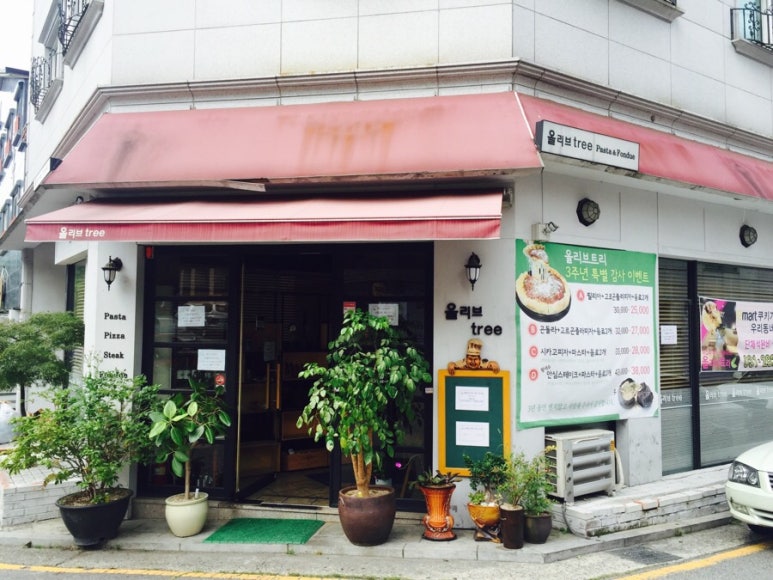 올리브트리 이미지