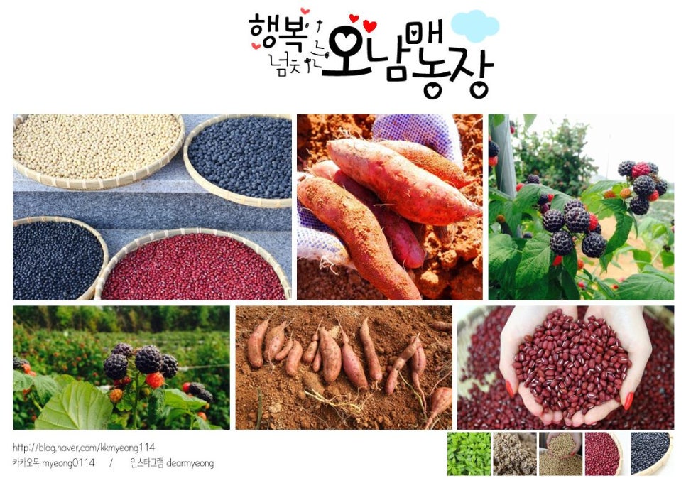 오남매농장 이미지