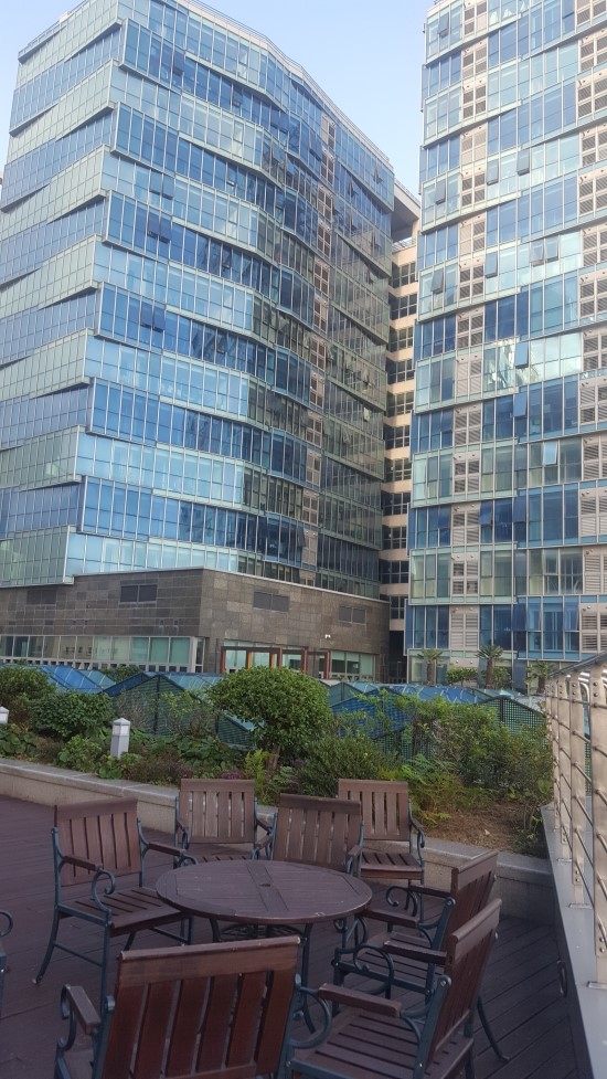 팔레드시즈 이미지
