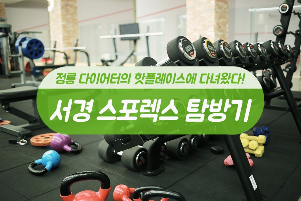 에스케이스포렉스 이미지
