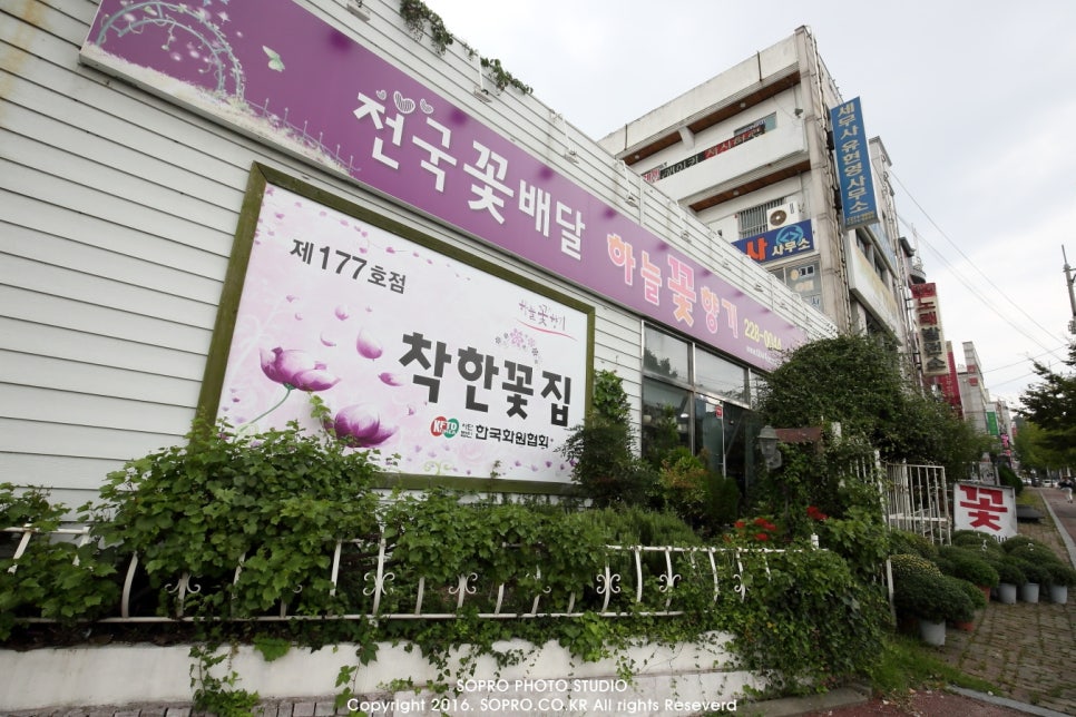 하늘꽃향기착한꽃집 이미지