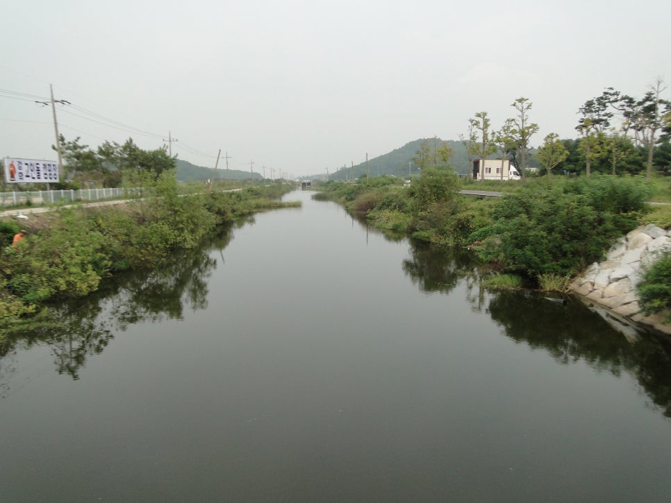 고인돌식물원 이미지