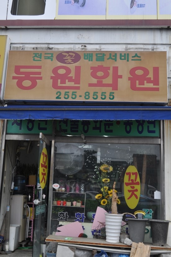 동원화원 이미지
