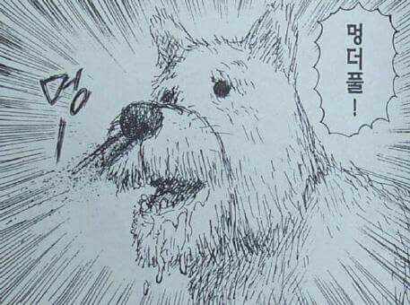 더풀 이미지