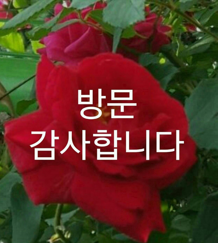 한아식당 이미지