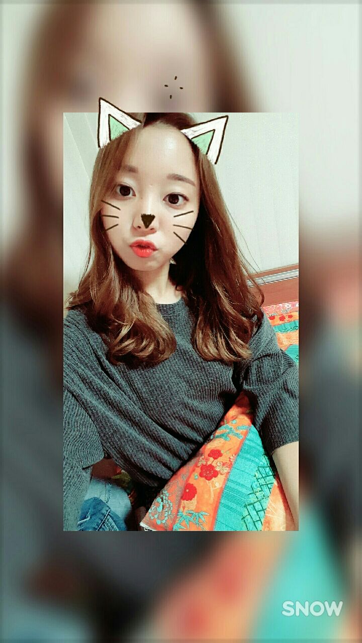 트레보헤어 이미지