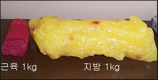 투앤티영 이미지