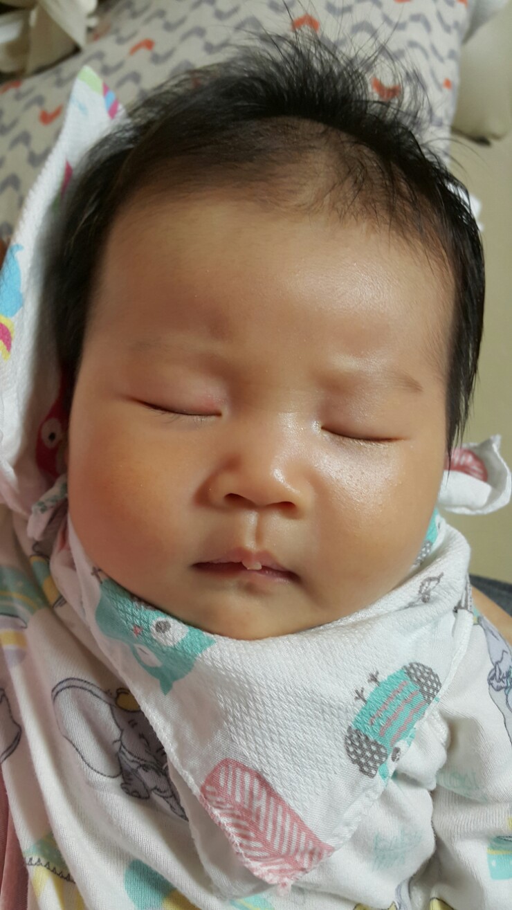 지유재 이미지