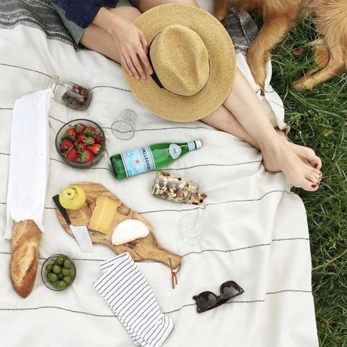 PICNIC(피크닉) 이미지